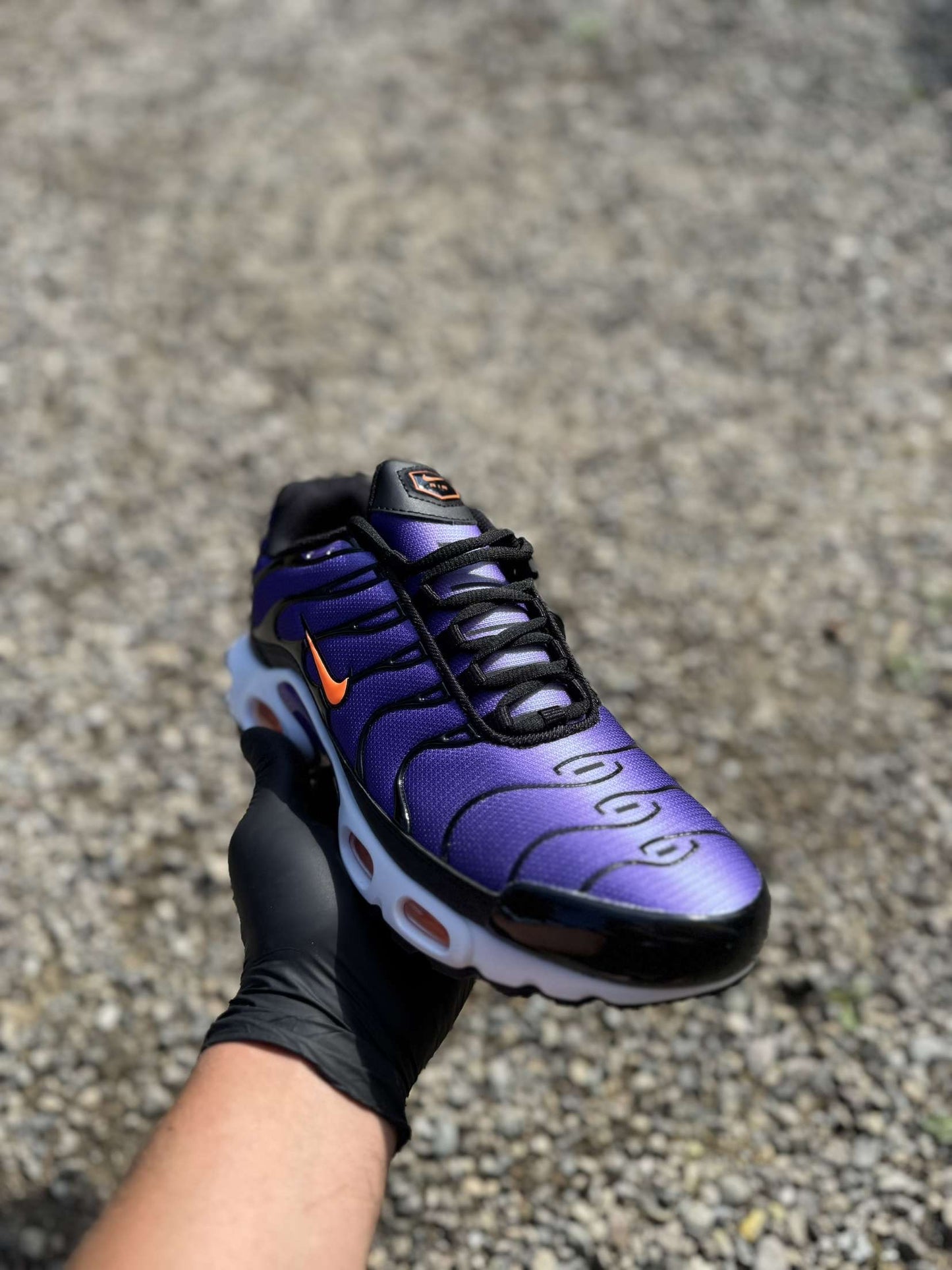 Tn violet