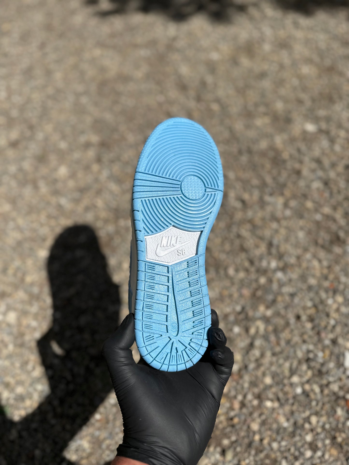Dunk bleue