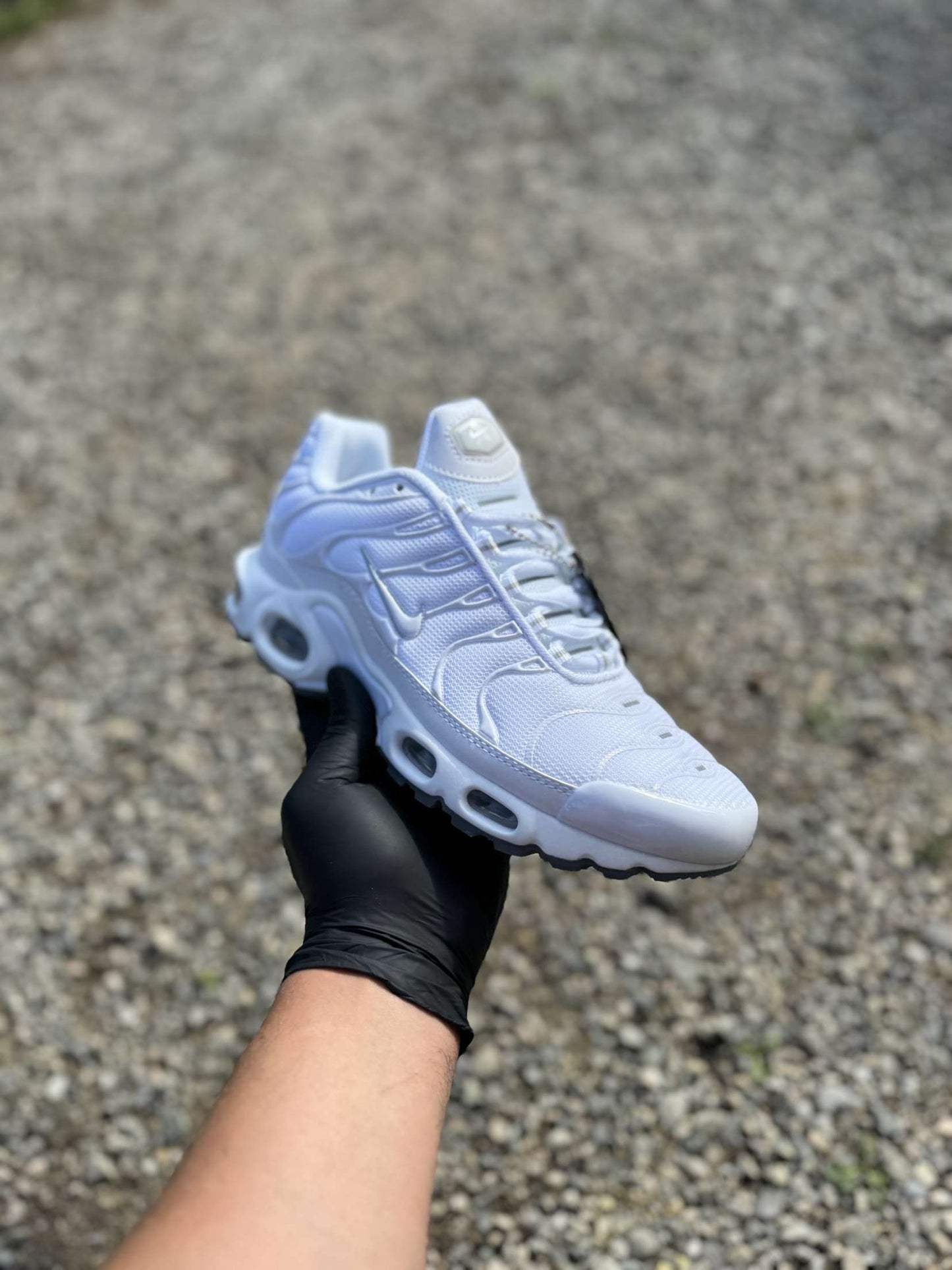 Tn blanche