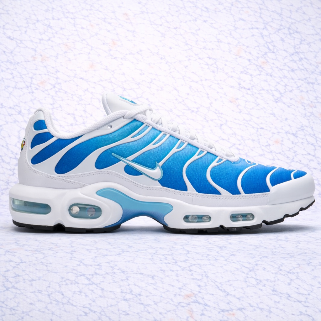 Tn Bleu et Blanche