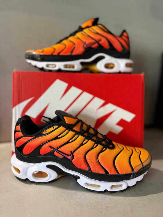 TN Tiger 1998 (rare)